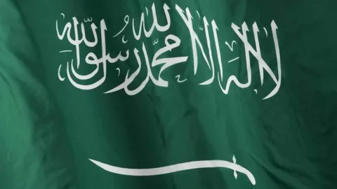 وثائق التجنيس