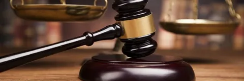 وثائق التجنيس